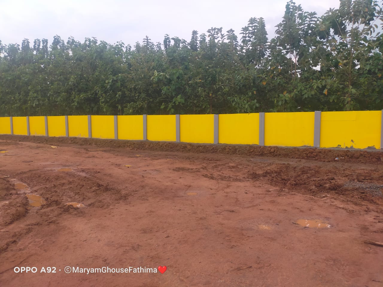 WhatsApp Image 2025-05-22 at 12.24.35 PM